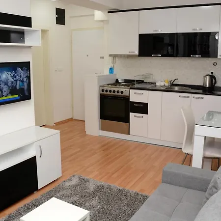 Deluxe Apartment *